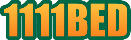 bd1111bed.com Logo
